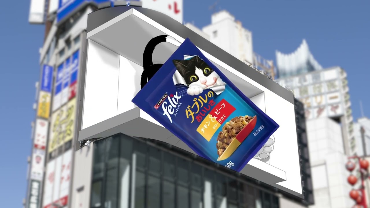 cat video