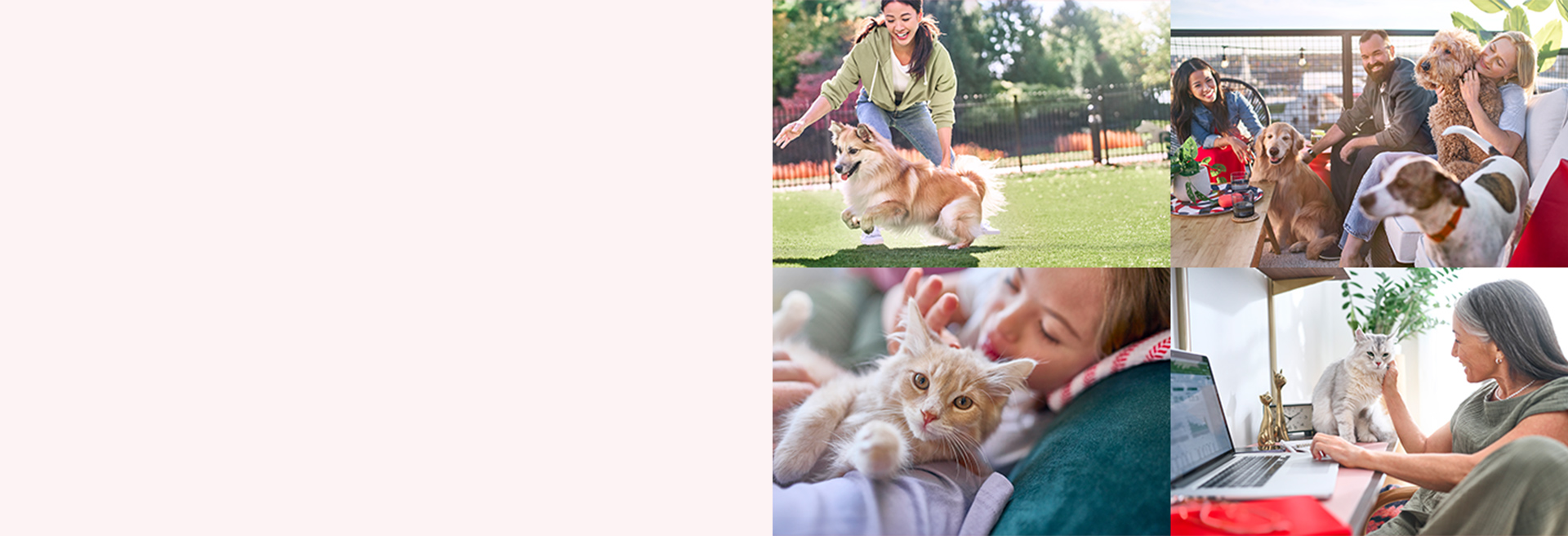 Your Pet, Our Passion