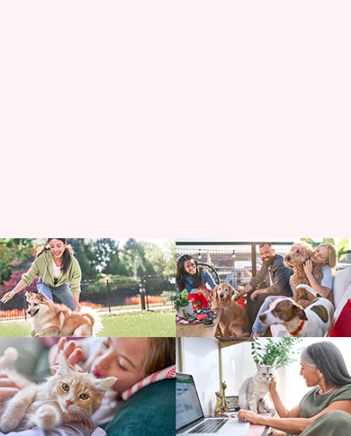 Your Pet, Our Passion