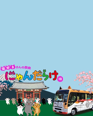猫好きさんの祭典♪