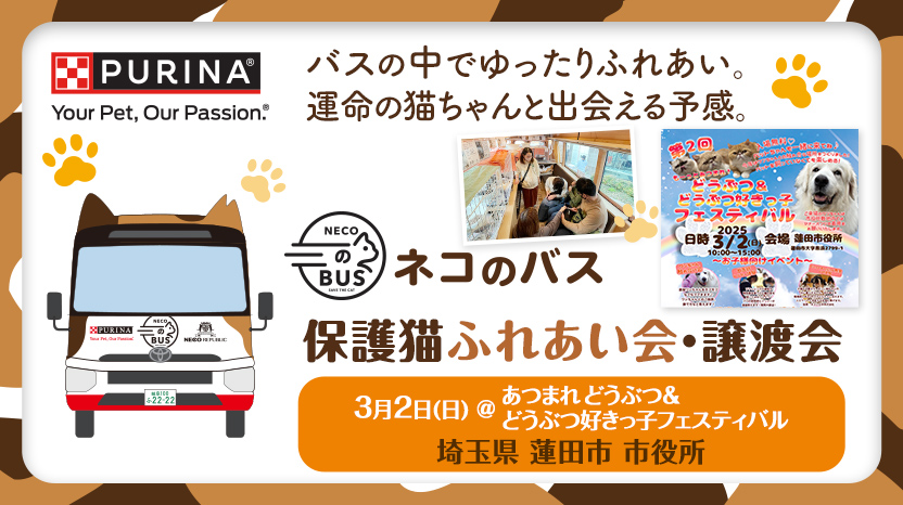 ネコのバス 保護猫譲渡会