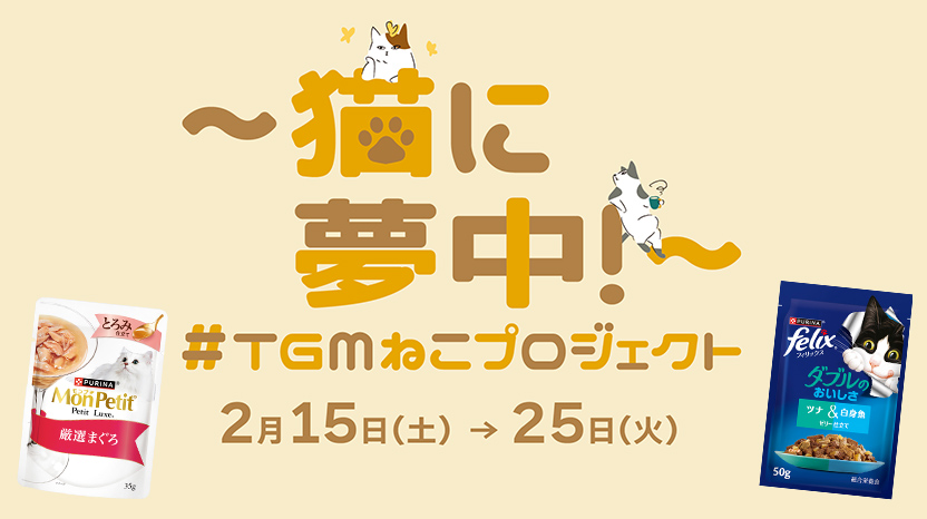 「～猫に夢中！～#TGMねこプロジェクト」にてピュリナ製品をサンプリング♪