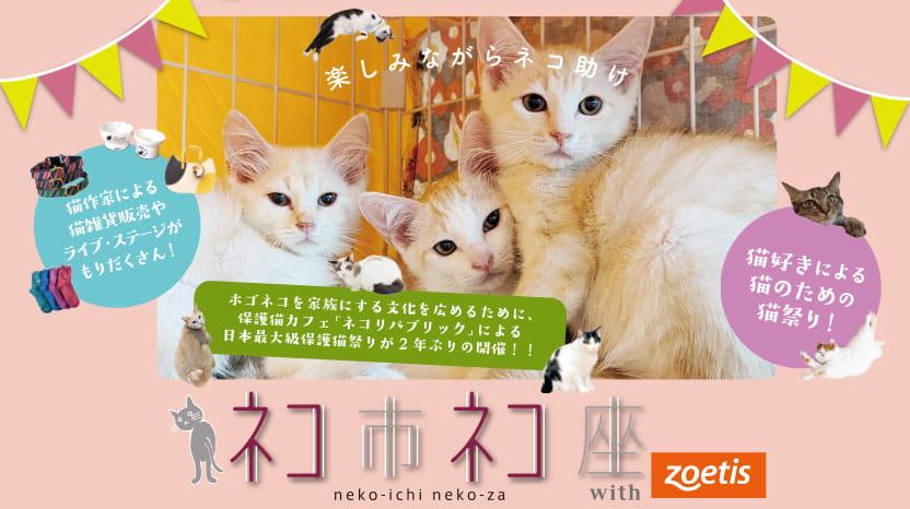 「ネコ市ネコ座」