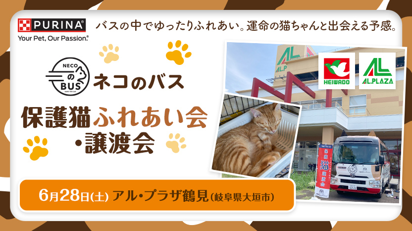 「ネコのバス」保護猫譲渡会@アル・プラザ鶴見