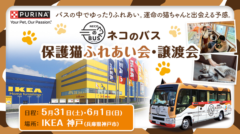 「ネコのバス」保護猫譲渡会@IKEA神戸