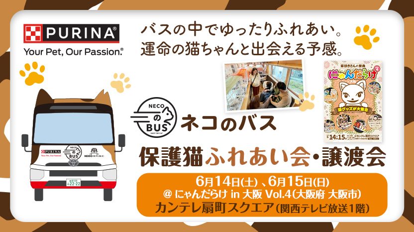 「ネコのバス」保護猫譲渡会@にゃんだらけ in 大阪Vol.4