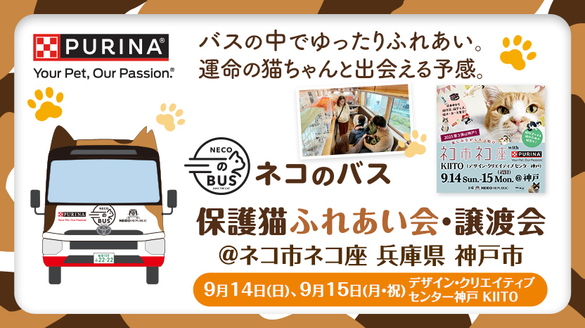 「ネコのバス」保護猫譲渡会@ネコ市ネコ座（神戸）