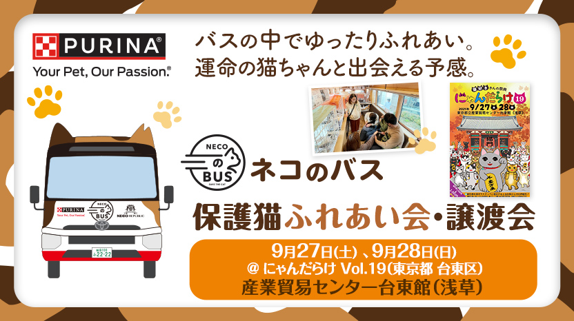 「ネコのバス」保護猫譲渡会@にゃんだらけVol.19（東京 浅草）