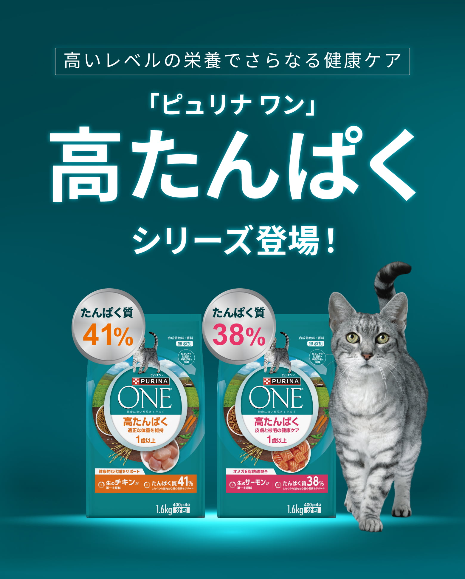 高いレベルの栄養でさらなる健康ケア 「ピュリナ ワン」高たんぱくシリーズ登場