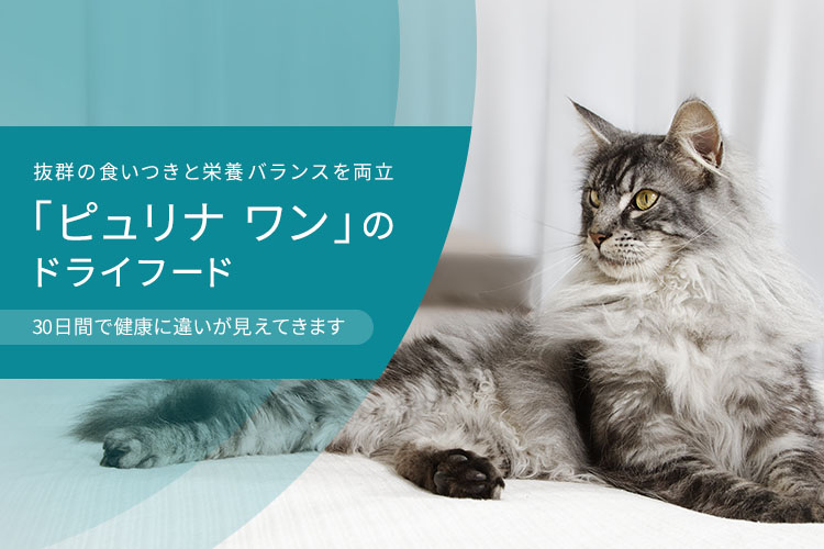 抜群の食いつきと栄養バランスを両立 「ピュリナ ワン」のドライフード 30日で健康に違いが見えてきます