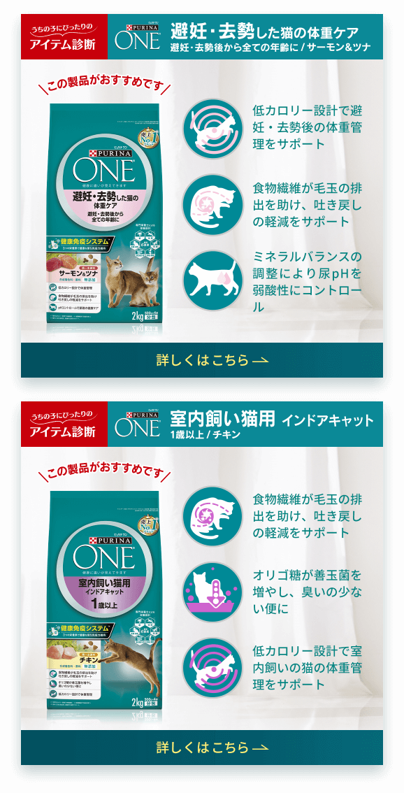 アイテム診断