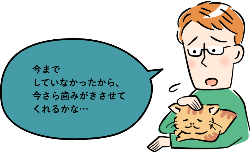 今までしていなかったから、今さら歯みがきさせてくれるかな…