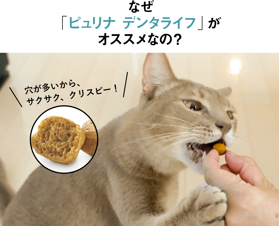 なぜ「ピュリナ デンタライフ」がオススメなの？