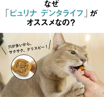 なぜ「ピュリナ デンタライフ」がオススメなの？