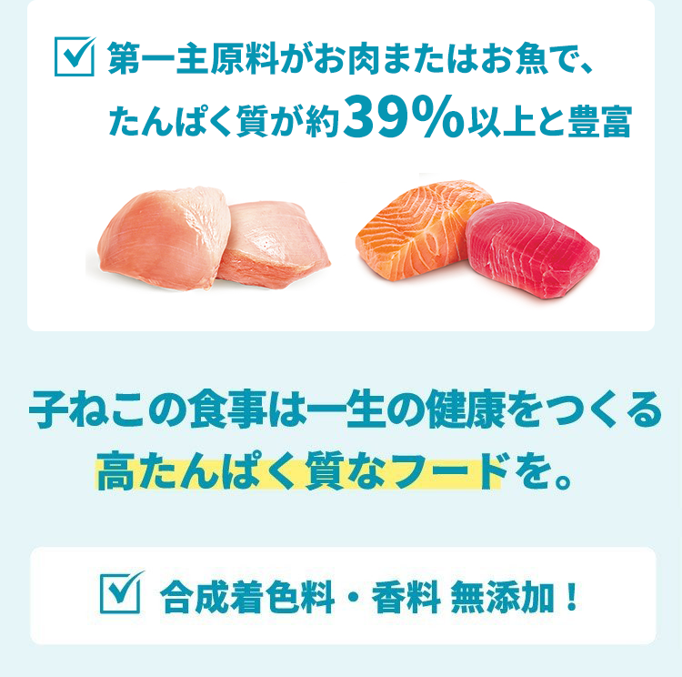 ドライフード 1歳までの子ねこ用/妊娠・授乳期の母猫用(チキン)  第一主原料がお肉で、たんぱく質が40％と豊富