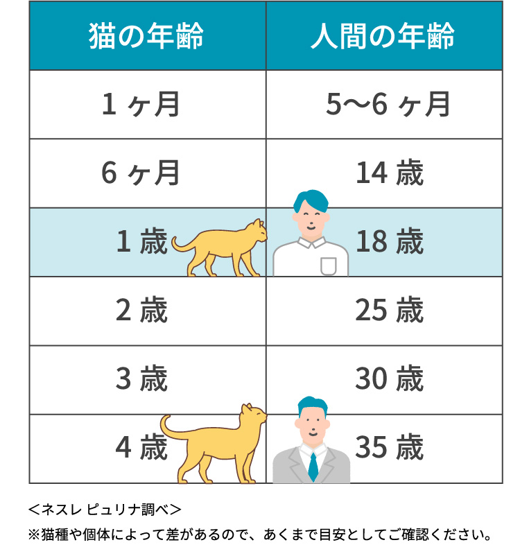 猫の年齢 人間の年齢