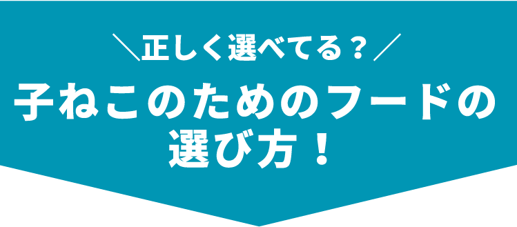 ＼正しく選べてる？／子猫ためのフードの選び方！