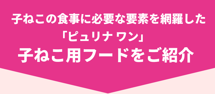 子ねこの食事に必要な要素を網羅した「ピュリナ ワン」子ねこ用フードをご紹介