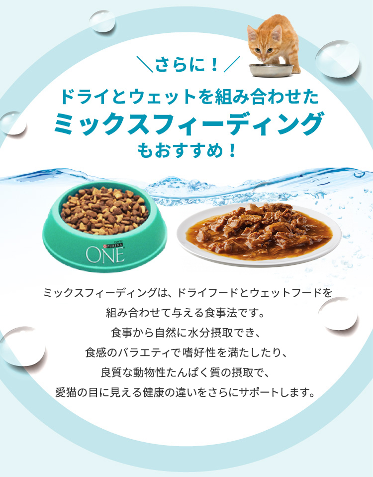＼さらに！／ ドライとウェットを組み合わせたミックスフィーディングもおすすめ！