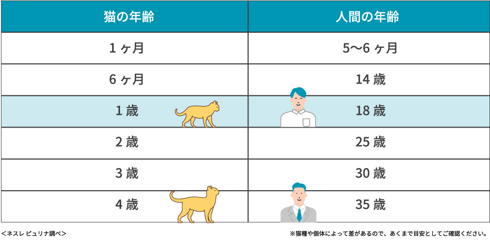 猫の年齢 人間の年齢