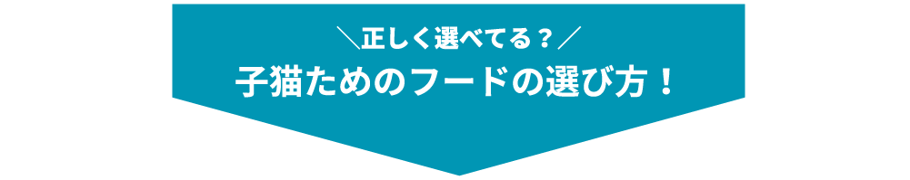 ＼正しく選べてる？／子猫ためのフードの選び方！