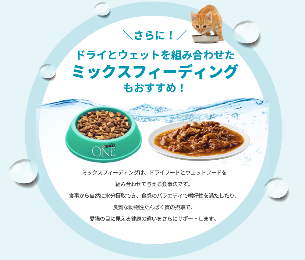 ＼さらに！／ ドライとウェットを組み合わせたミックスフィーディングもおすすめ！