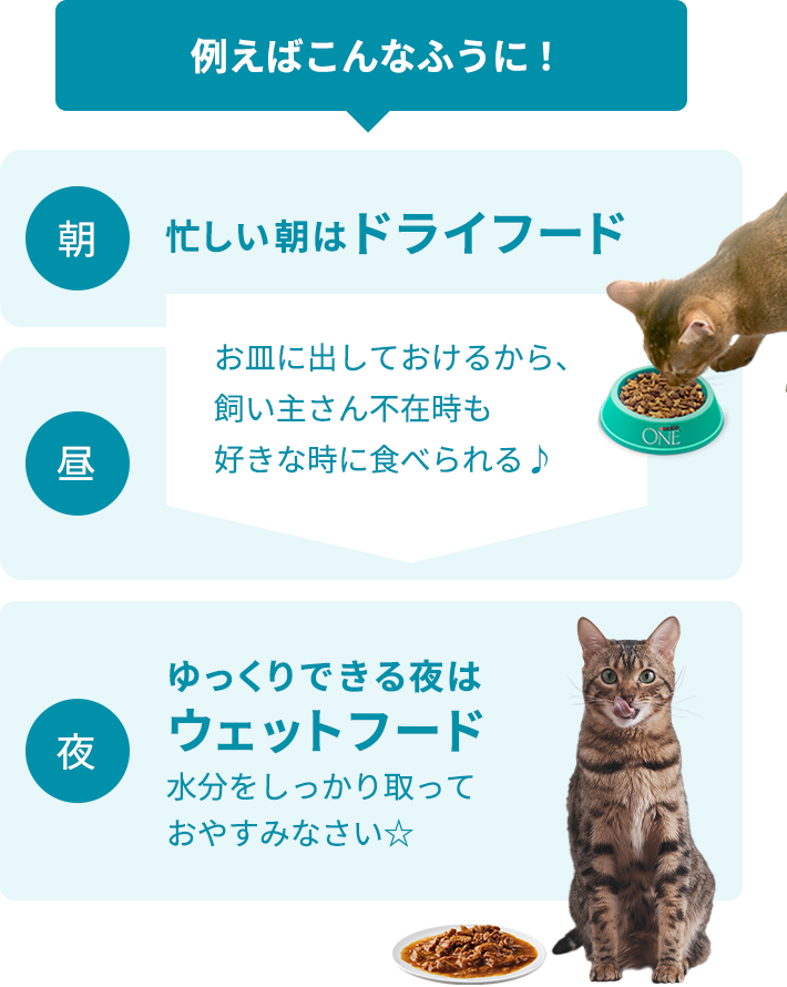 例えばこんなふうに！