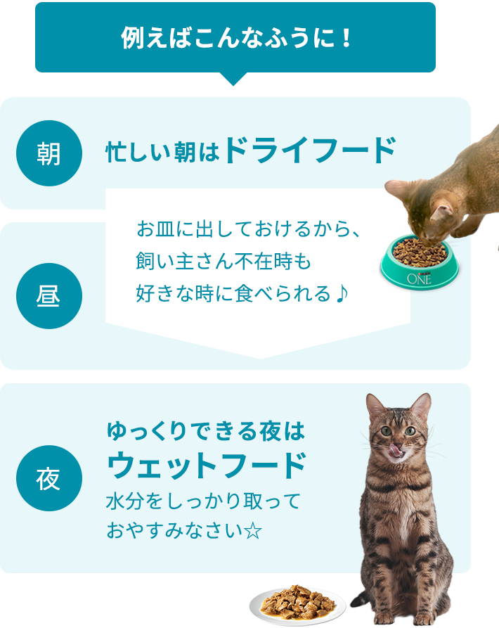 例えばこんなふうに！