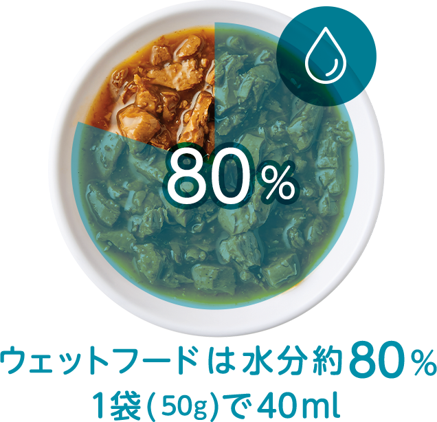 ウェットフードは水分約80% 1袋（70g）で56ml