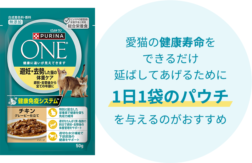 愛猫の健康寿命をできるだけ延ばしてあげるために1日1袋のパウチを与えるのがおすすめ