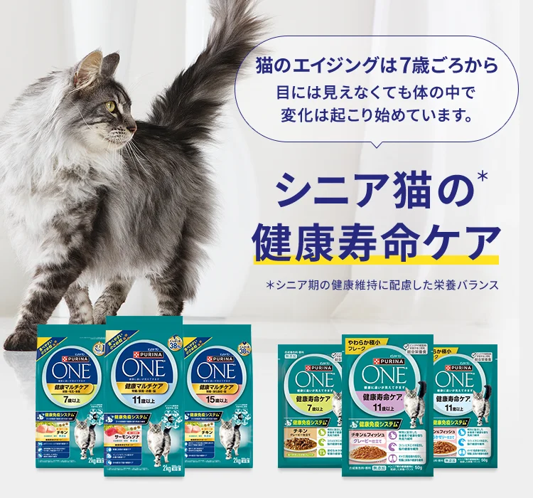 猫のエイジングは7歳ごろから 目には見えなくても体の中にで変化は起こり始めています。シニア猫の健康寿命ケア