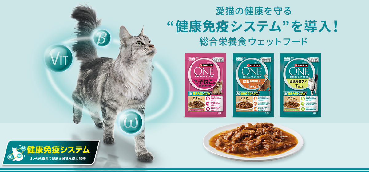 総合栄養食で自然な水分摂取「ピュリナ ワン」のウェットフード