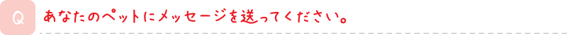 あなたのペットにメッセージを送ってください。