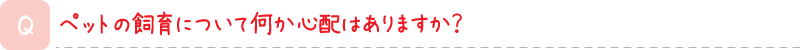 ペットの飼育について何か心配はありますか？