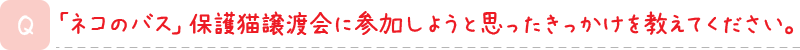 「ネコのバス」保護猫譲渡会に参加しようと思ったきっかけを教えてください。