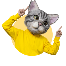 ノラくん