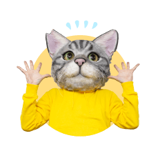 ノラくん