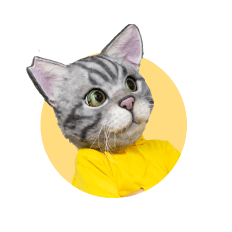 ノラくん