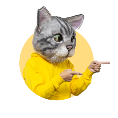 ノラくん