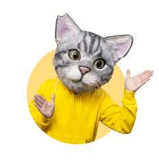 ノラくん