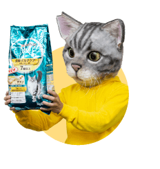 ノラくん