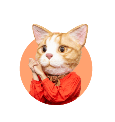 モモさん