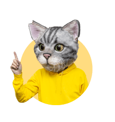 ノラくん
