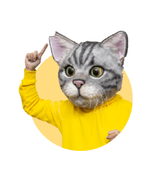 ノラくん