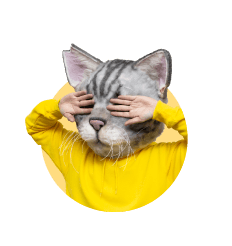 ノラくん