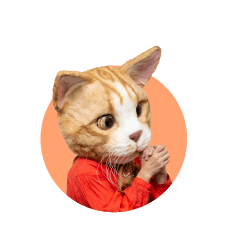モモさん