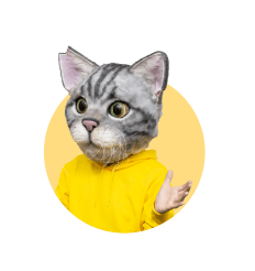 ノラくん
