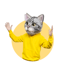 ノラくん
