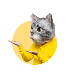 ノラくん