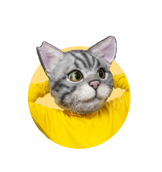 ノラくん